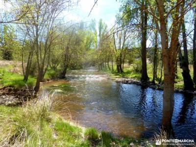 Río Cega,Santa Águeda–Pedraza;hacer amigos en madrid riofrio de riaza lozoya del valle viajes fi